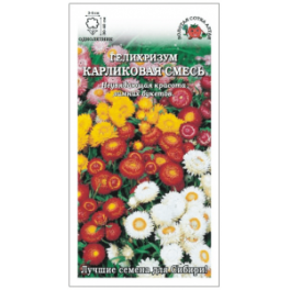 Гелихризум Карликовая смесь
