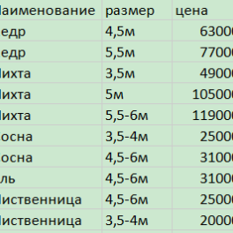 Барбарис суперба 3л